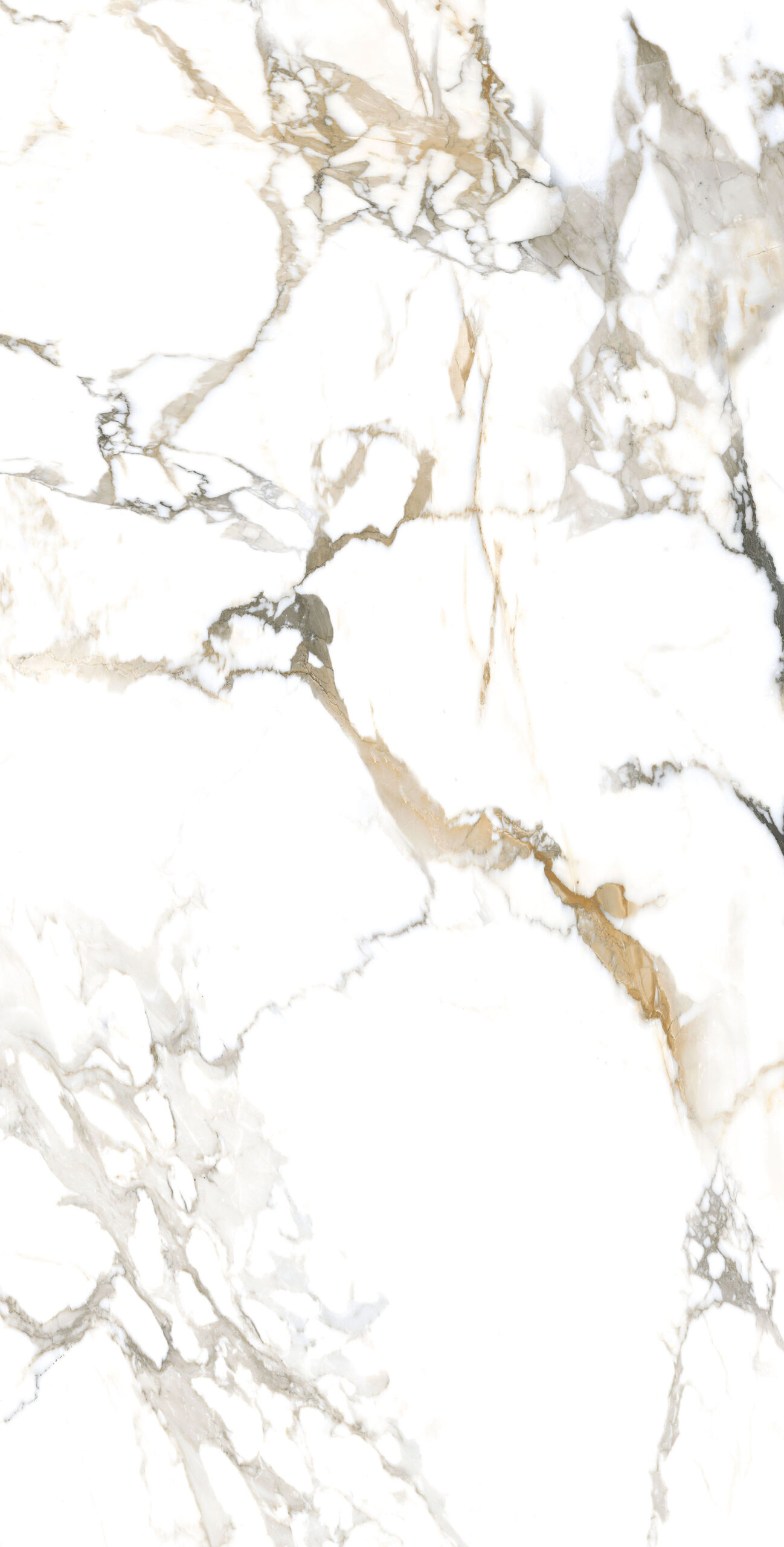 Ferrara White